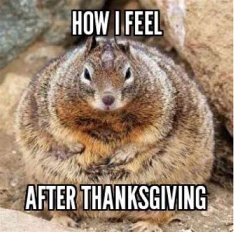 funny thanksgiving memes